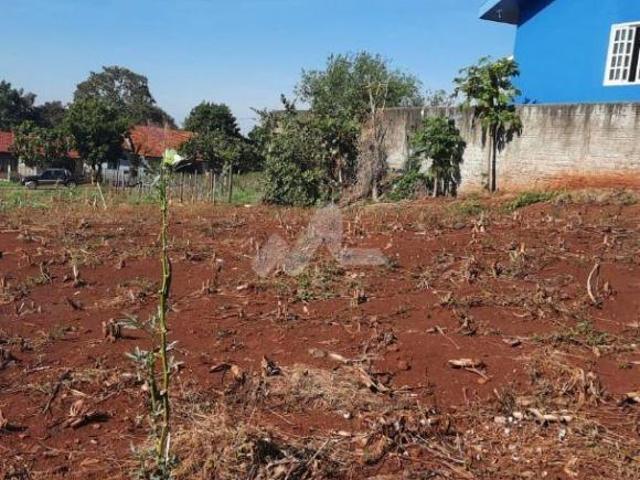 Terreno venda em Região Geográfica Imediata de Toledo, Ouro Verde do Oeste