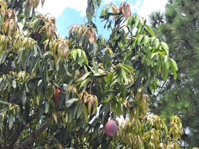 Terreno venda em Região Imediata de Bragança Paulista, Atibaia