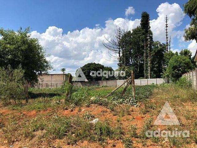 Terreno venda em Região Geográfica Imediata de Ponta Grossa, Ponta Grossa