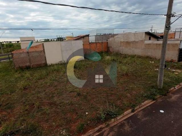 Terreno venda em Barretos