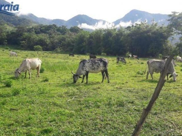 Terreno venda em Região Imediata de Caraguatatuba-Ubatuba-São Sebastião, Região Metropolitana do Vale do Paraíba e Litoral Norte