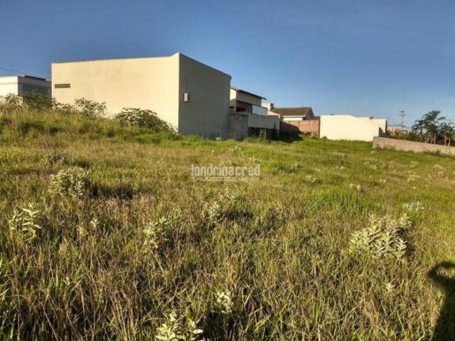 Terreno venda em Jacarezinho