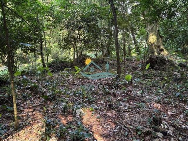 Terreno venda em São Sebastião