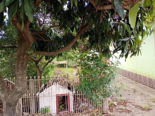 Terreno venda em Alvorada