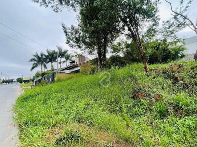 Terreno venda em Região Geográfica Imediata de Porto Alegre, Região Metropolitana de Porto Alegre