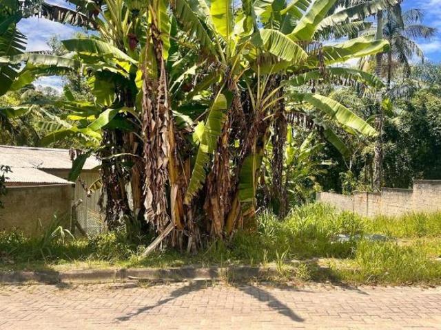Terreno venda em Região Geográfica Imediata de Paranaguá, Antonina