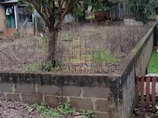 Terreno venda em Quatro Irmãos