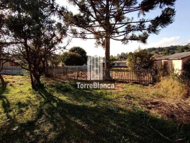 Terreno venda em Cará-Cará, Ponta Grossa