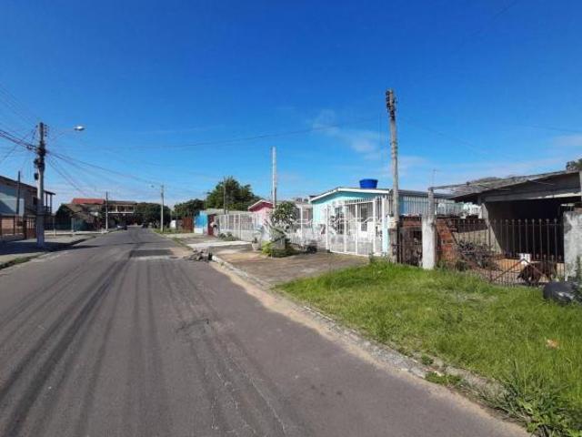 Terreno venda em Alvorada