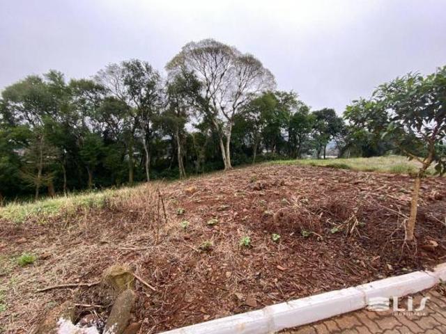 Terreno venda em Região Geográfica Imediata de Novo Hamburgo - São Leopoldo, Região Metropolitana de Porto Alegre