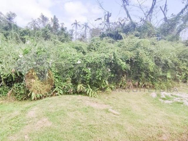 Terreno venda em Residencial Marverde, Caraguatatuba