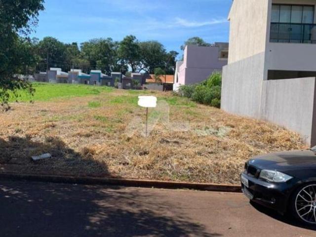 Terreno venda em Região Geográfica Imediata de Toledo, Toledo