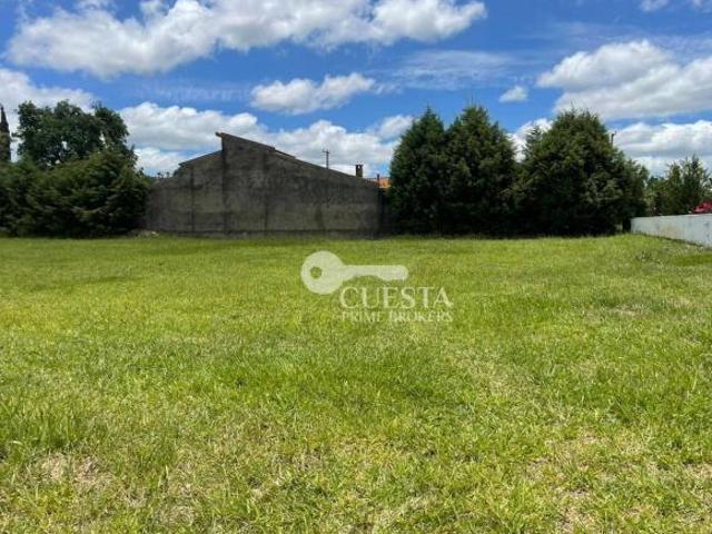 Terreno venda em Pardinho