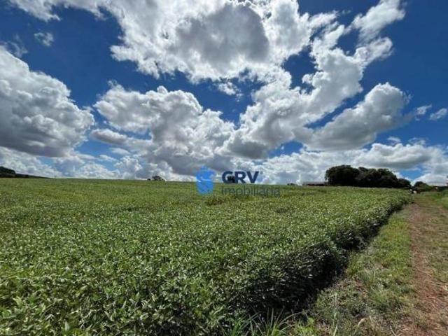 Terreno venda em Região Geográfica Imediata de Londrina, Primeiro de Maio