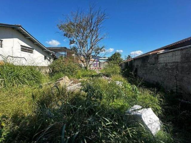 Terreno venda em Núcleo Balneário Maria Helena I, Caraguatatuba
