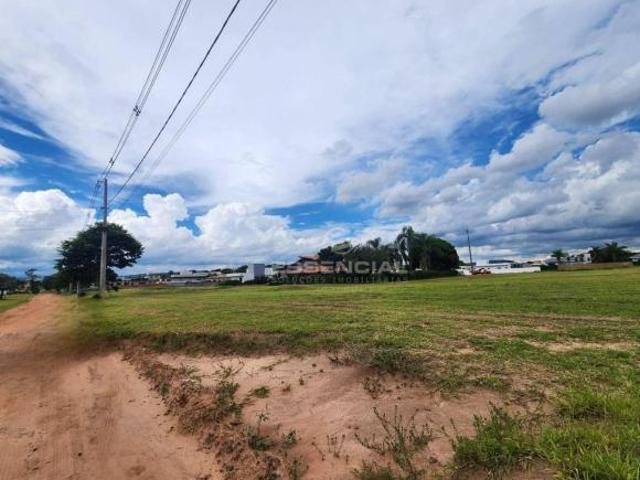 Terreno venda em Pardinho
