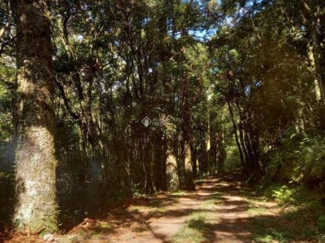 Terreno venda em Região Geográfica Imediata de Caxias do Sul, Canela