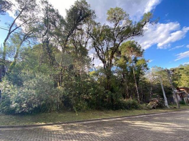 Terreno venda em Região Geográfica Imediata de Caxias do Sul, Canela