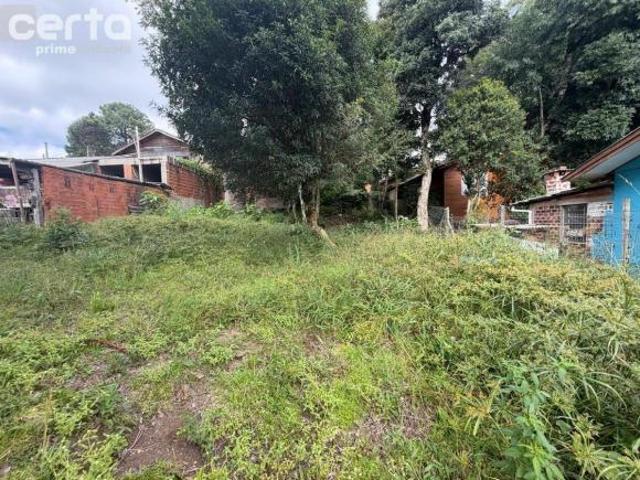 Terreno venda em Vila do Cedro, Canela
