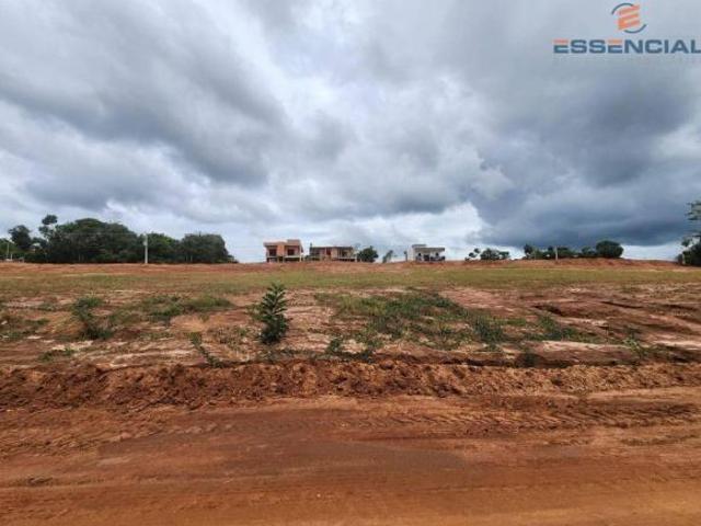 Terreno venda em Pardinho, Quadra