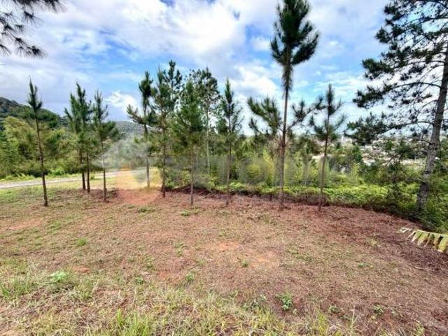 Terreno venda em Recanto Som do Mar, Caraguatatuba