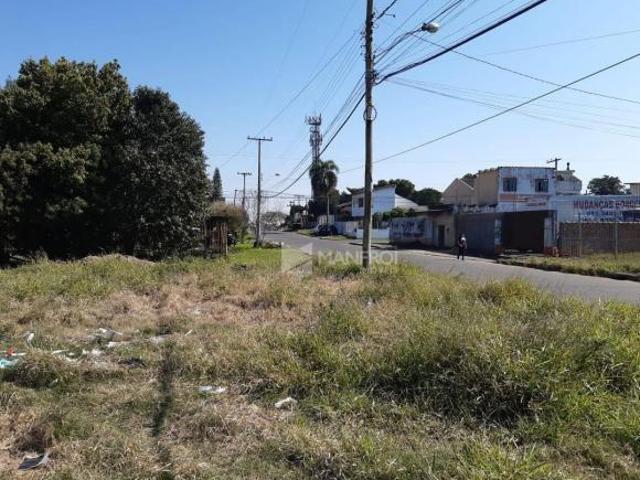 Terreno venda em Alvorada