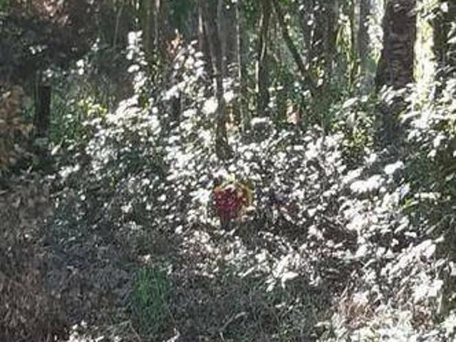 Terreno venda em Região Imediata de São José dos Campos, Região Metropolitana do Vale do Paraíba e Litoral Norte