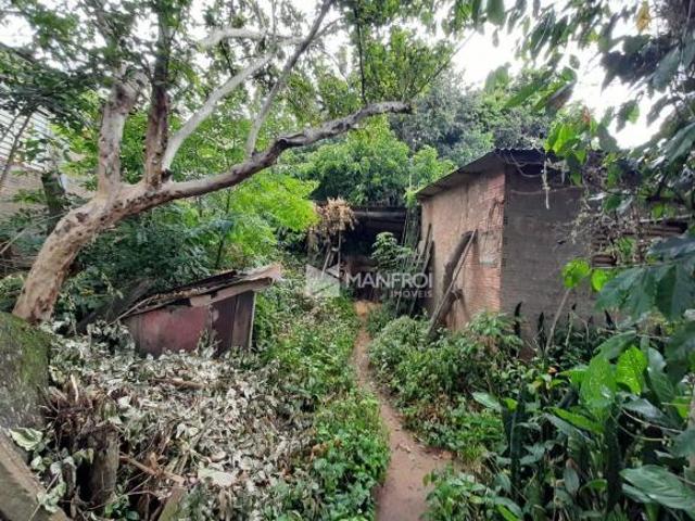 Terreno venda em Alvorada