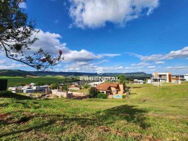 Terreno venda em Pardinho