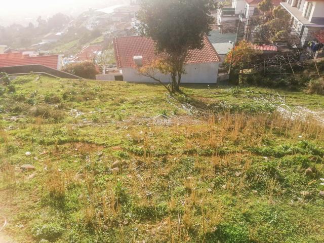 Terreno venda em Funchal, Ilha Da Madeira