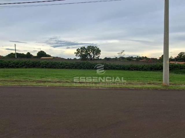 Terreno venda em Pardinho