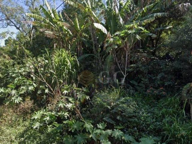 Terreno venda em Região Geográfica Imediata de Porto Alegre, Região Metropolitana de Porto Alegre