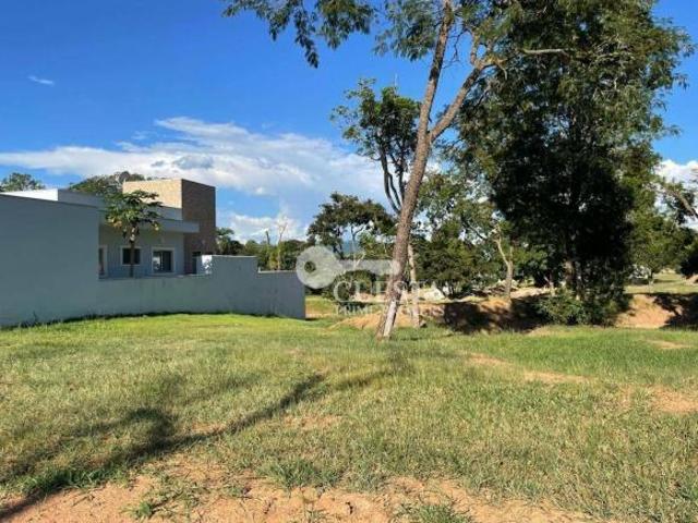 Terreno venda em Pardinho