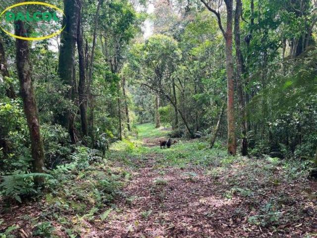 Terreno venda em Região Geográfica Imediata de Curitiba, Região Metropolitana de Curitiba