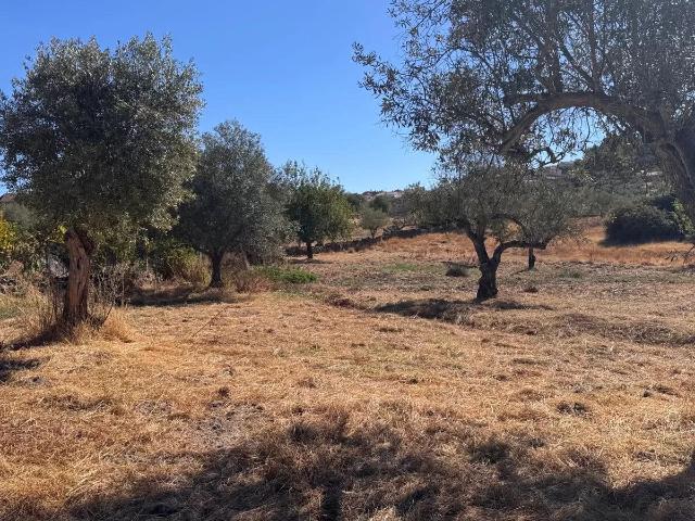 Terreno venda em Castelo Branco, Penamacor