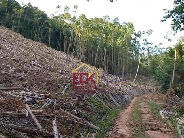 Terreno venda em Região Imediata de Taubaté-Pindamonhangaba, Região Metropolitana do Vale do Paraíba e Litoral Norte