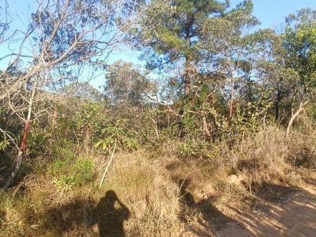 Terreno venda em Vila das Flores, Caeté