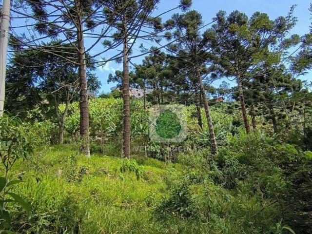 Terreno venda em São Bento do Sapucaí, Região Geográfica Intermediária de São José dos Campos