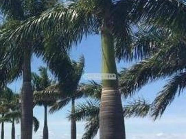 Terreno venda em Região Geográfica Imediata de Londrina, Primeiro de Maio