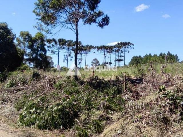 Terreno venda em Região Geográfica Imediata de Ponta Grossa, Ponta Grossa