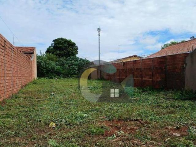 Terreno venda em Região Imediata de Barretos, Barretos