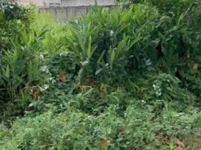 Terreno venda em Região Imediata de Santos, Região Metropolitana da Baixada Santista