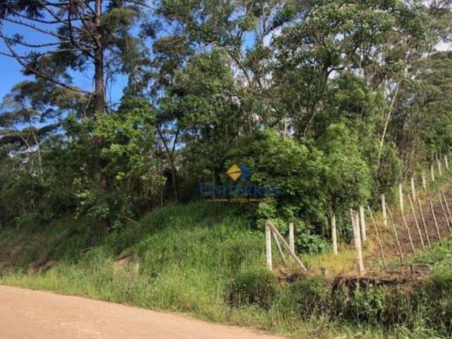 Terreno venda em Região Geográfica Imediata de Curitiba, Região Metropolitana de Curitiba