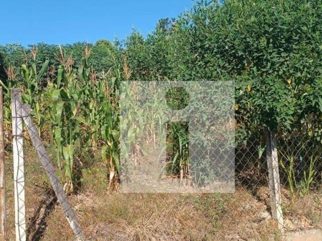 Terreno venda em Região Imediata de Campinas, Região Metropolitana de Campinas