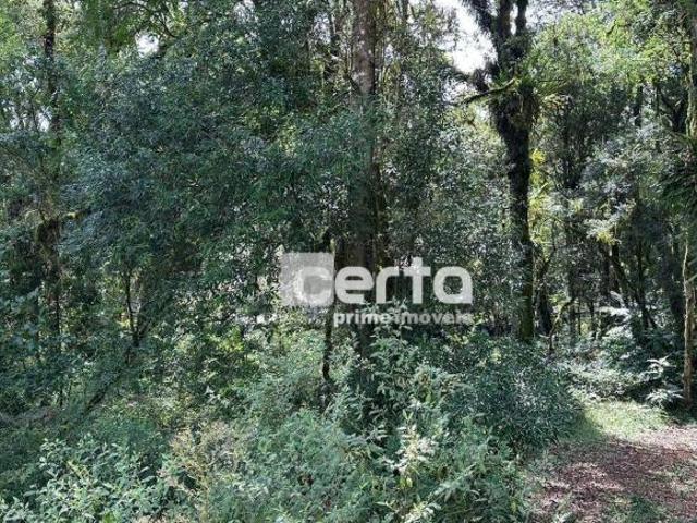 Terreno venda em Região Geográfica Imediata de Caxias do Sul, Gramado