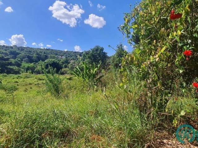 Terreno venda em Vespasiano