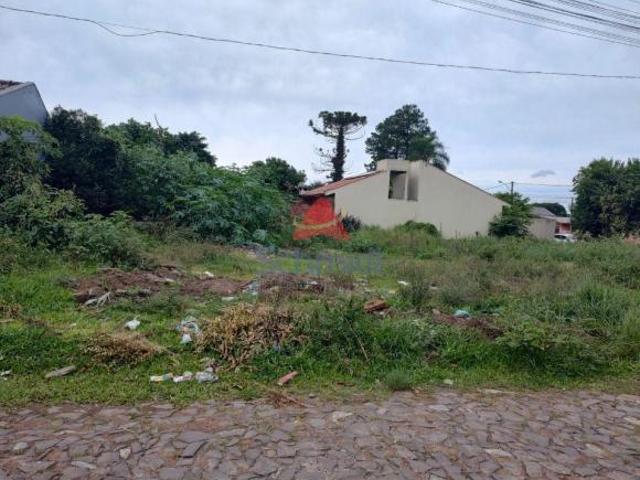 Terreno venda em Vila Antonio Leite, São Leopoldo