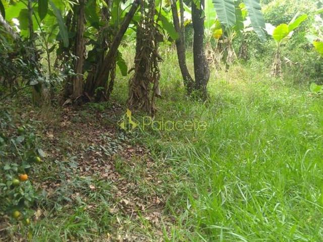Terreno venda em Região Imediata de Taubaté-Pindamonhangaba, Região Metropolitana do Vale do Paraíba e Litoral Norte