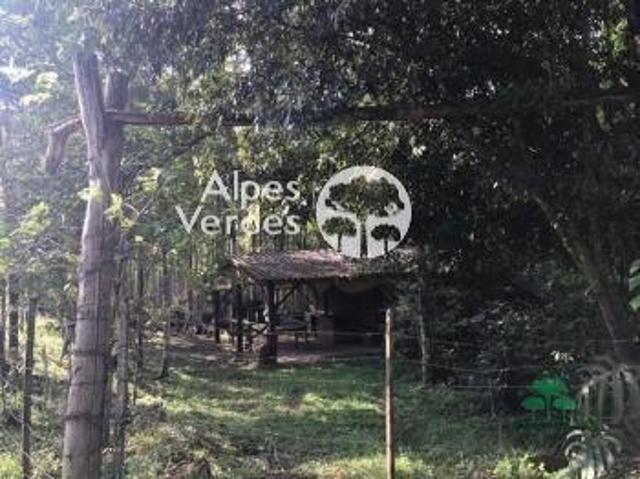 Terreno venda em Região Geográfica Imediata de Caxias do Sul, Canela