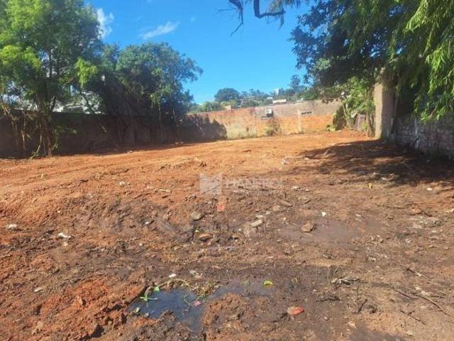 Terreno venda em Umbu, Alvorada